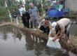 Dukung Ketahanan Pangan, Bhabinkamtibmas Polsek Lebong Selatan Dampingi Pelepasan 5.000 Bibit Ikan Nila